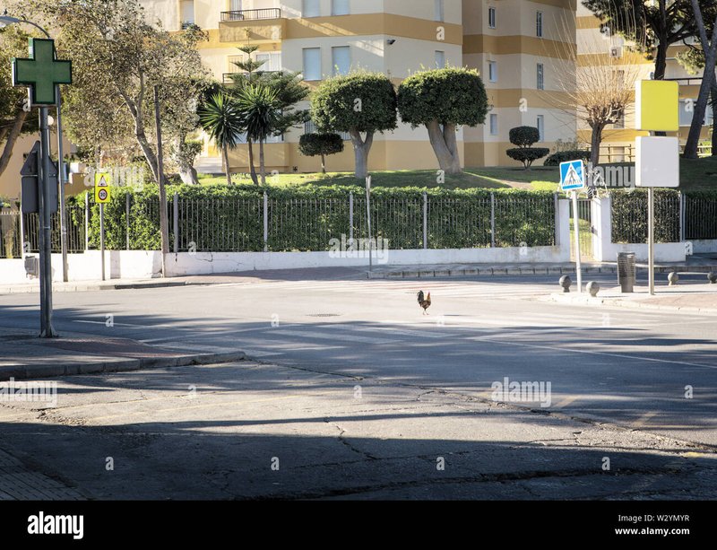 Chicken road in Spain Chicken road in Spain